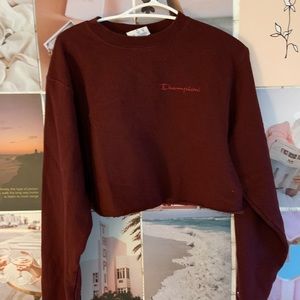 Urban Outfitters Champion Cropped Crewneck